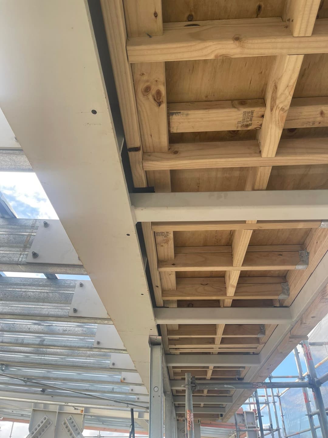 BMG LIMITED IMAGE GALALERY - 3